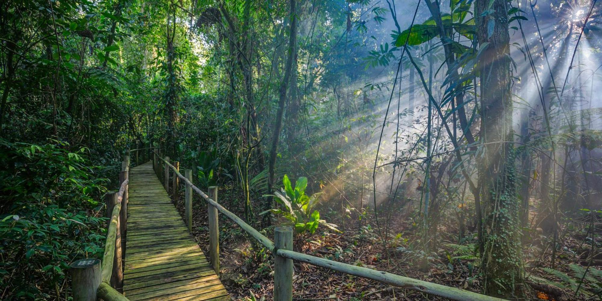 Itamambuca Eco Resort Ubatuba Eksteriør bilde